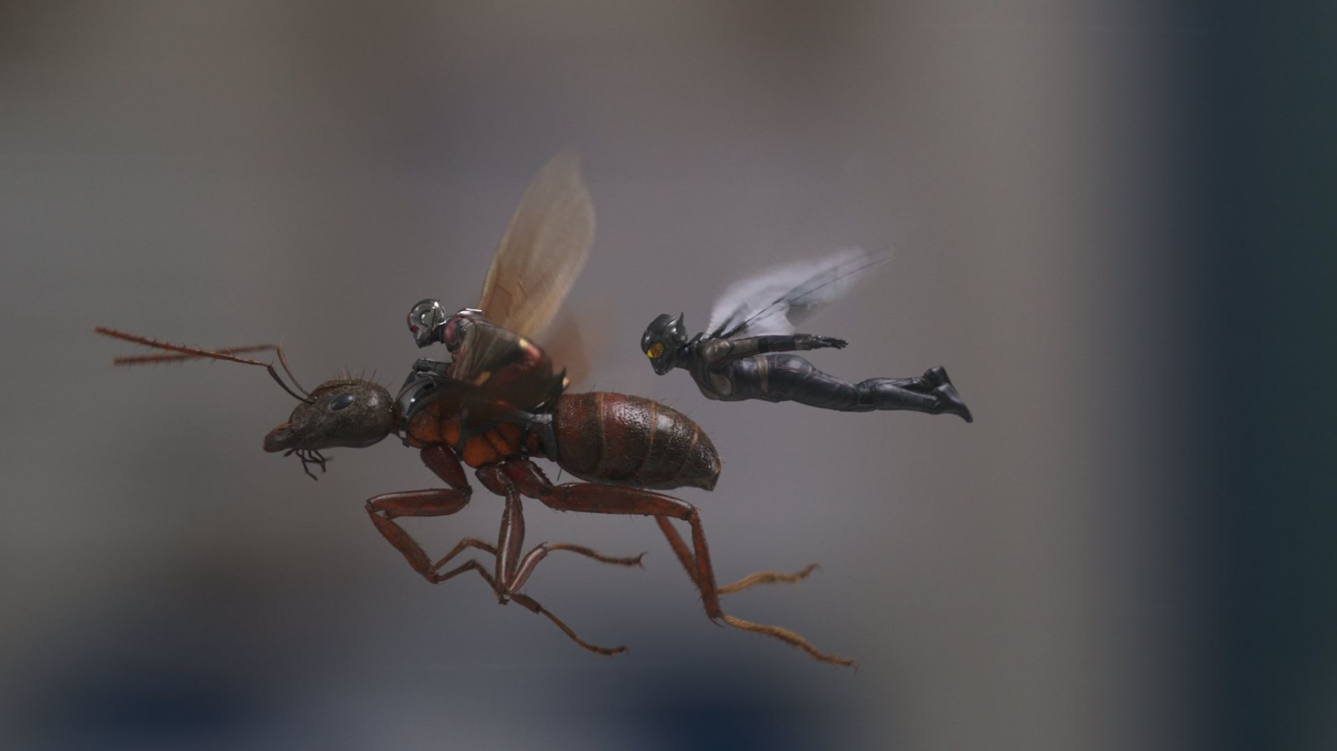 No. 18: 'Ant-Man and Wasp' (2018)